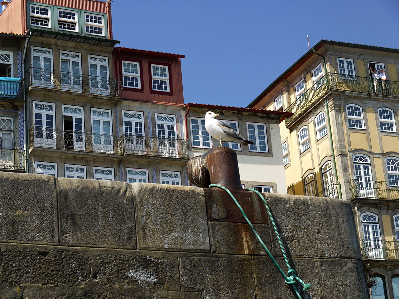 boat tour ,Porto